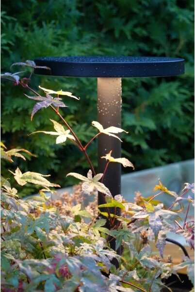 Markslöjd 108173 - LED Venkovní lampa GARDEN24 LED/5W/24V 96 cm IP44 černá