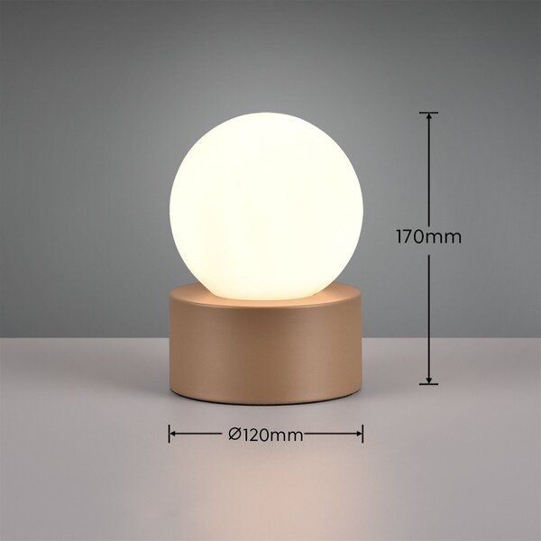 Bílo-hnědá stolní lampa (výška 17 cm) Countess – Reality