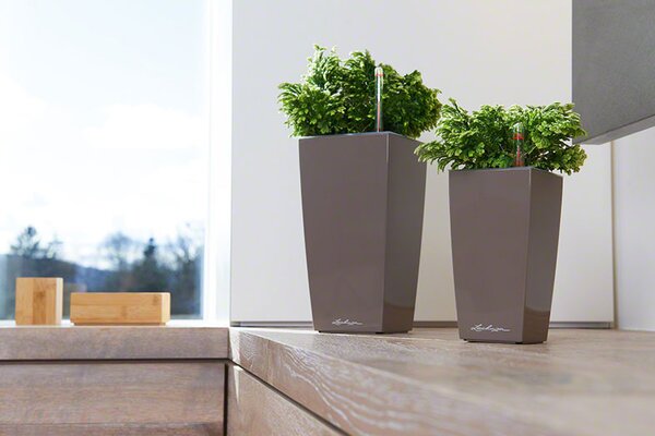Samozavlažovací květináč Cubico Premium 30 cm, hnědá +