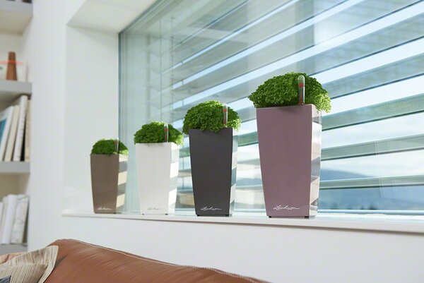 Samozavlažovací květináč Cubico Premium 30 cm, hnědá +