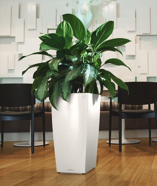Samozavlažovací květináč Cubico Premium 30 cm, hnědá +