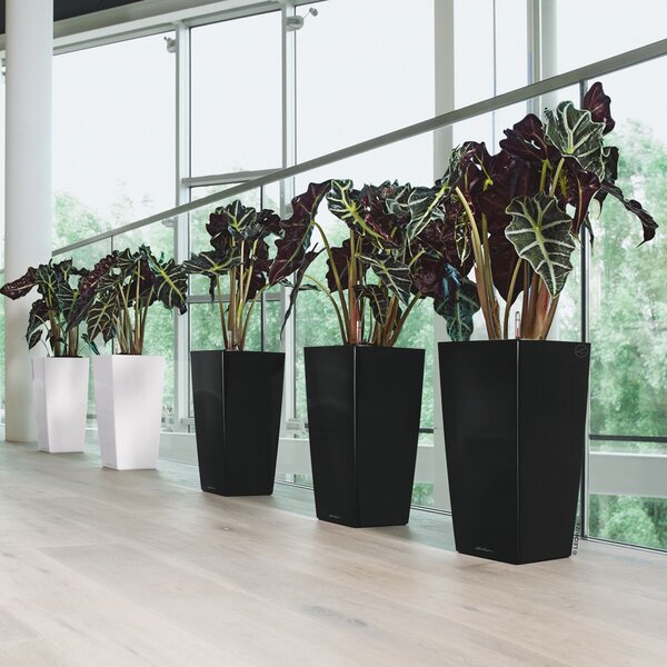 Samozavlažovací květináč Cubico Premium 30 cm, hnědá +