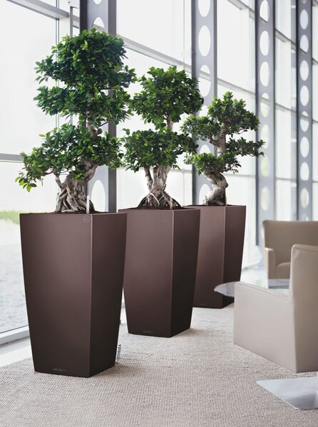 Samozavlažovací květináč Cubico Premium 30 cm, hnědá +