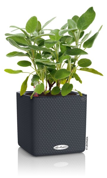 Samozavlažovací květináč Cube Color, průměr 14 cm, antracitová