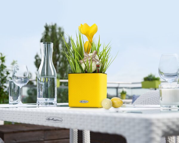 Samozavlažovací květináč Cube Color, průměr 14 cm, antracitová