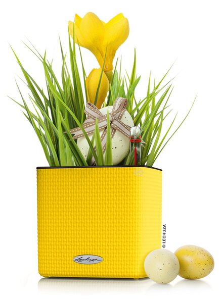 Samozavlažovací květináč Cube Color, průměr 14 cm, antracitová
