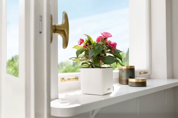 Samozavlažovací květináč Cube Color, průměr 14 cm, antracitová