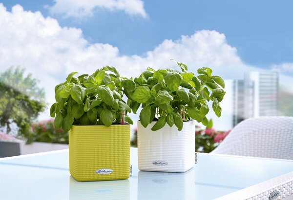 Samozavlažovací květináč Cube Color, průměr 14 cm, antracitová