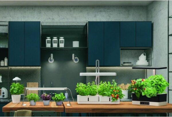 Ledvance - LED Interiérová lampa na rostliny GARDEN LIGHT LED/14W/230V