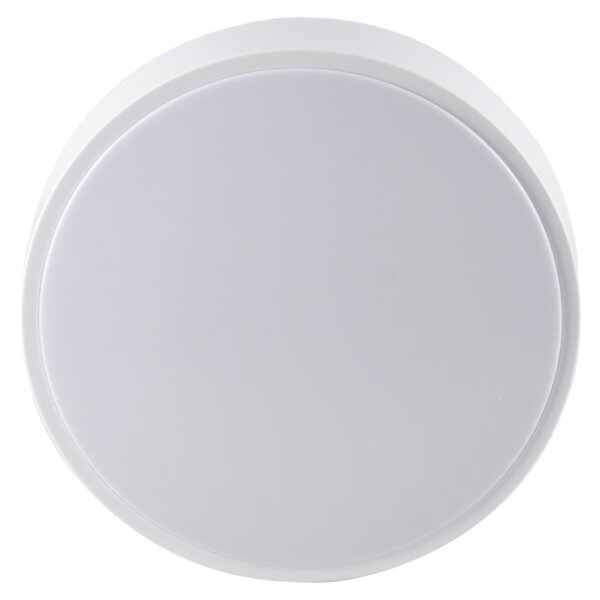 LED Koupelnové stropní svítidlo RENE LED/15W/230V IP44 bílá