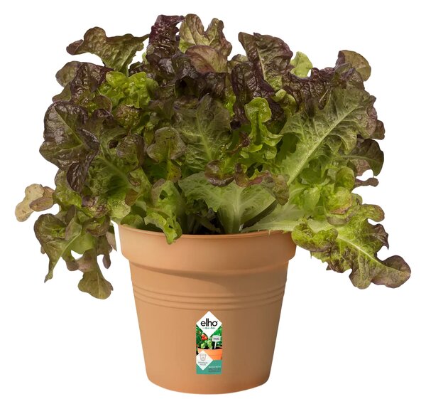 Květináč Green Basics 35 cm, hnědá