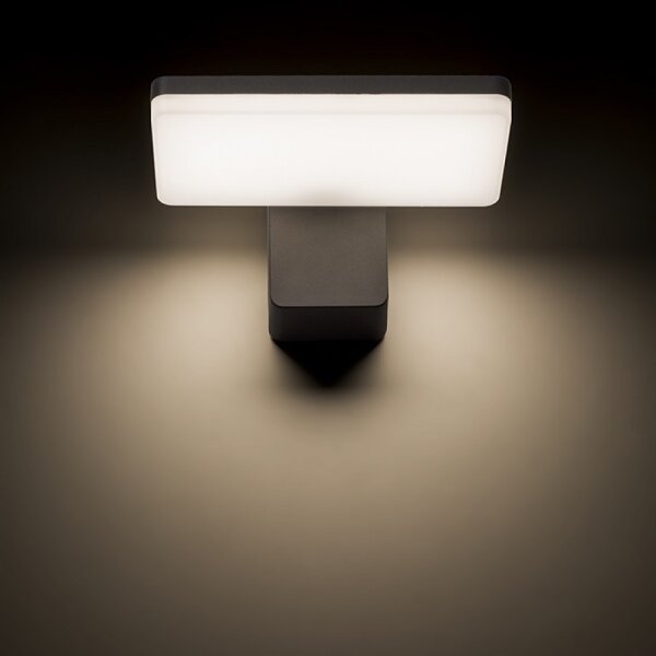 RED - Design Rendl-R11947- LED Venkovní nástěnné svítidlo RINA LED/12W/230V IP65