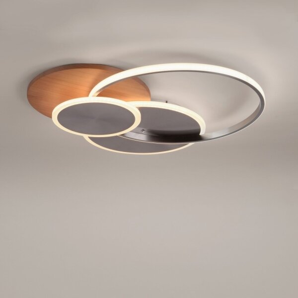 Paul Neuhaus 8328-79 - LED Stmívatelné stropní svítidlo PALMA LED/50W/230V + DO