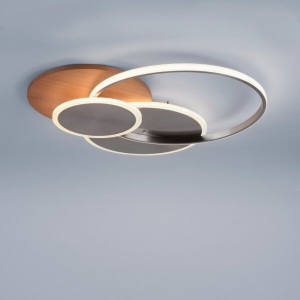 Paul Neuhaus 8328-79 - LED Stmívatelné stropní svítidlo PALMA LED/50W/230V + DO