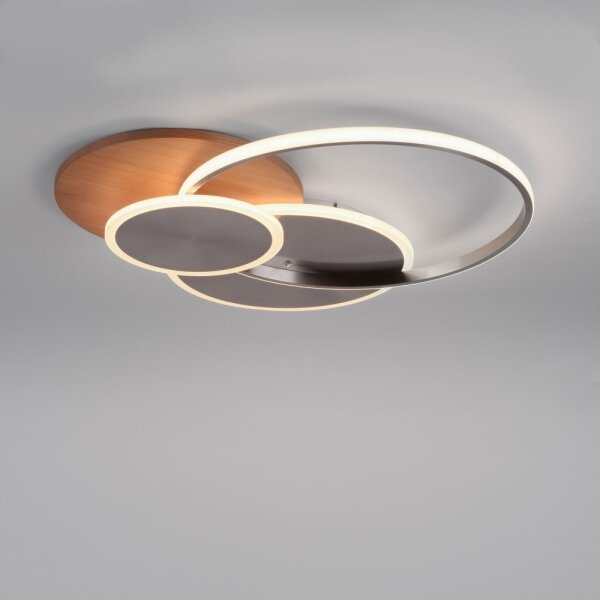 Paul Neuhaus 8328-79 - LED Stmívatelné stropní svítidlo PALMA LED/50W/230V + DO