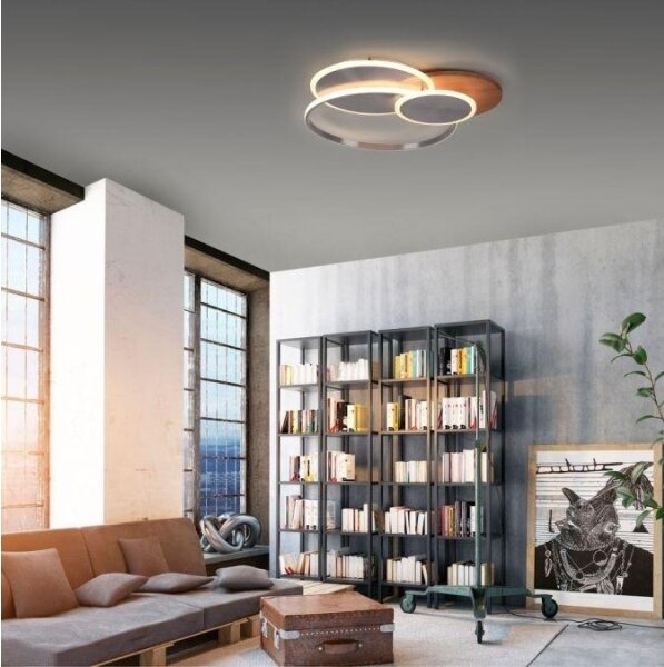Paul Neuhaus 8328-79 - LED Stmívatelné stropní svítidlo PALMA LED/50W/230V + DO