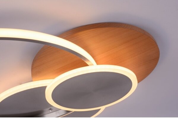 Paul Neuhaus 8328-79 - LED Stmívatelné stropní svítidlo PALMA LED/50W/230V + DO