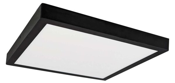 LED Stropní svítidlo FENIX LED/32W/230V 3800K 40 cm