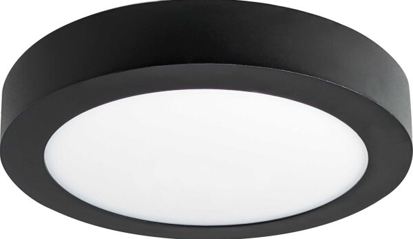 LED Stropní svítidlo FENIX LED/12W/230V 3800K pr. 17 cm