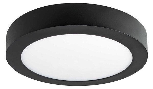 LED Stropní svítidlo FENIX LED/12W/230V 3800K pr. 17 cm