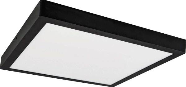 LED Stropní svítidlo FENIX LED/32W/230V 3800K 40 cm