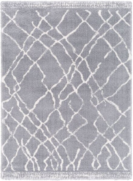 Kusový shaggy koberec Agnella Yoki Miu Light Šedý / světle šedý Rozměr: 80x150 cm