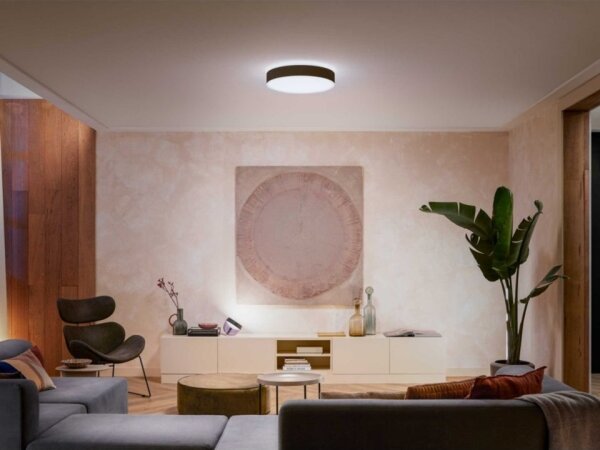 Philips - LED Stmívatelné stropní svítidlo Hue ENRAVE L LED/33,5W/230V černá+ DO