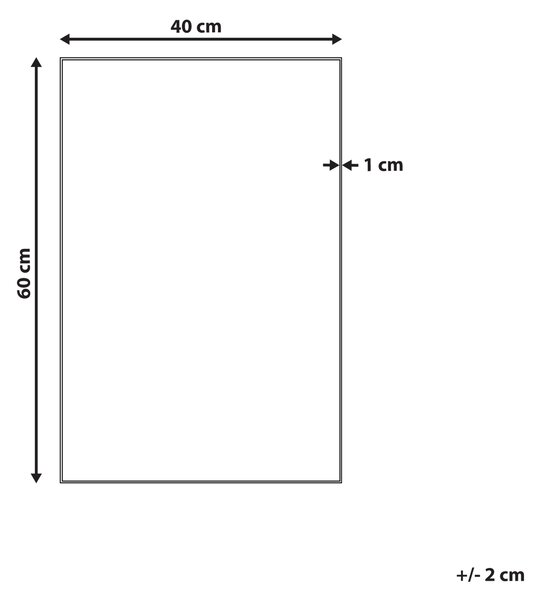 Zrcadlo ANGERS 40 cm 60 cm Stříbrná
