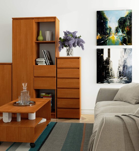 Ak furniture Komoda CL6 40 cm olše