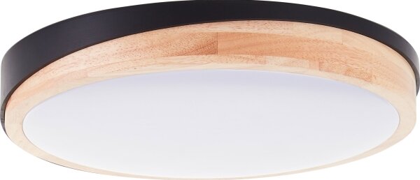 Brilliant - LED Stm stropní svítidlo BAARLO LED/24W/230V pr. 35 cm černá