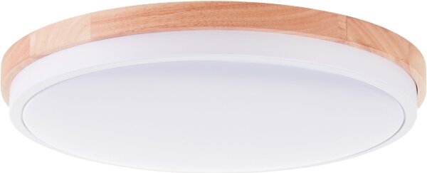 Brilliant - LED Stm stropní svítidlo BAARLO LED/24W/230V pr. 35 cm bílá