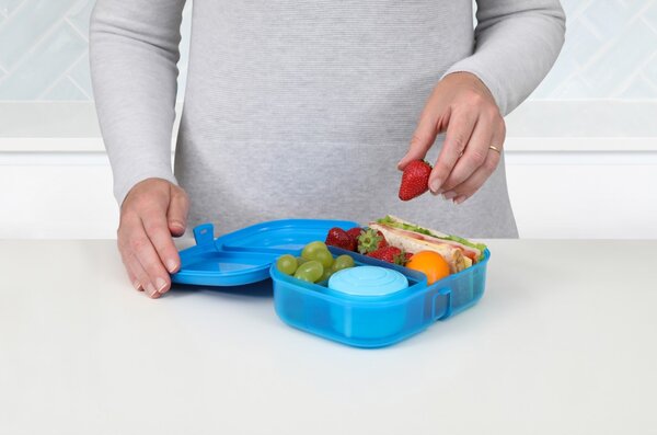 Sistema Dělený svačinový box Lunch Ribbon s nádobou na jogurt 1,1 l, modrá