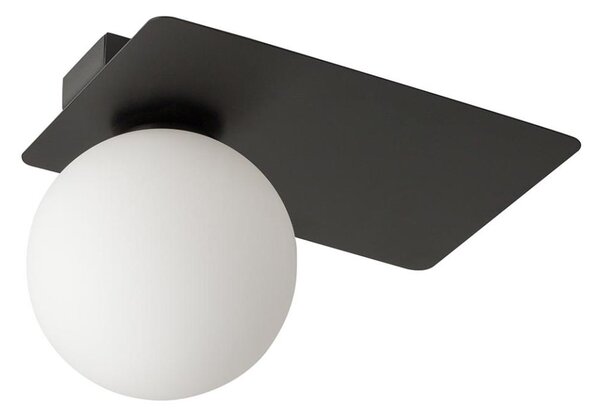 Stropní svítidlo ARGON 1xG9/12W/230V černá