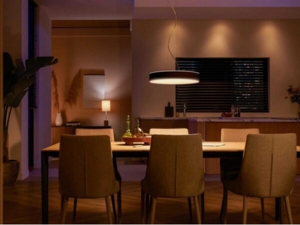 Philips - LED Stmívatelný lustr na lanku Hue ENRAVE LED/33,5W/230V černá + DO
