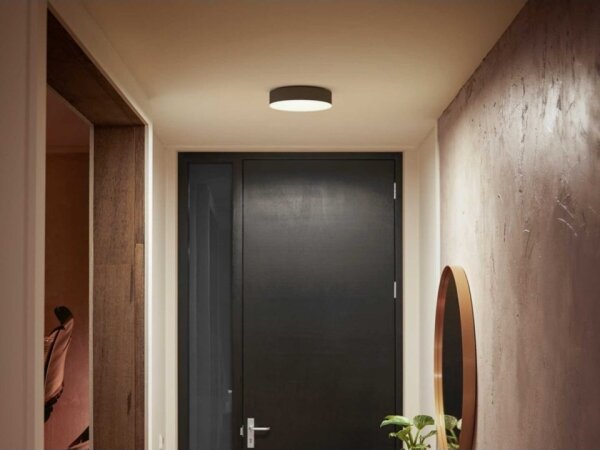 Philips -LED Stmívatelné svítidlo Hue ENRAVE S LED/9,6W/230V pr. 261 mm černá+DO