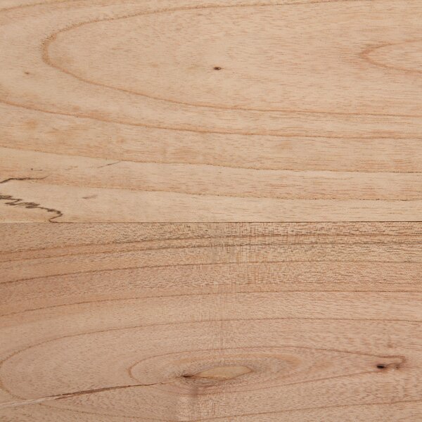 TABURET, dřevo, 55/56/30 cm Livetastic - Online Only lavice, Online Only