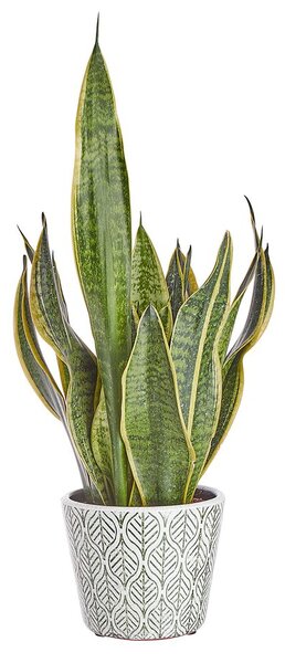 EVERGREEN Květináč listy 14 cm - zelená