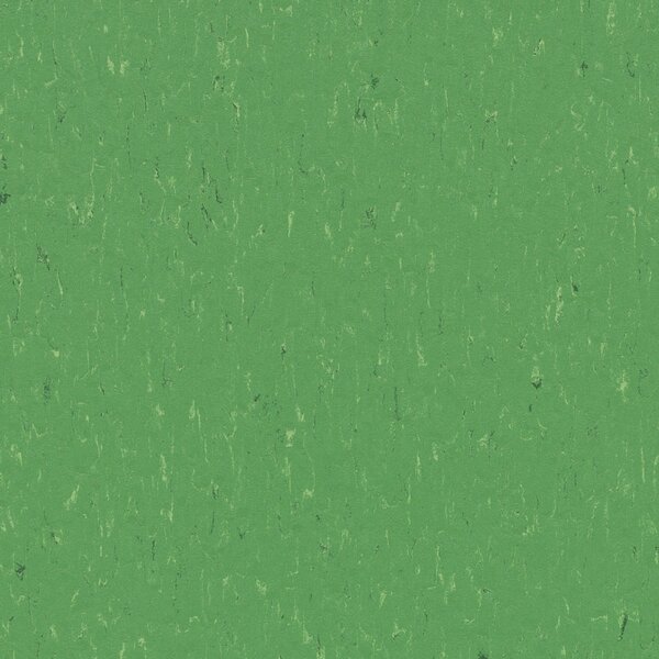 FORBO Marmoleum solid piano Nettle green 3647 - 2 bm