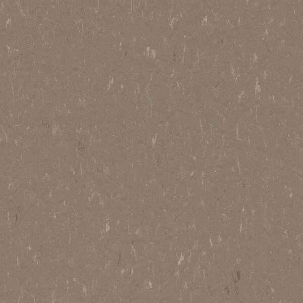 FORBO Marmoleum solid piano Otter 3631 - 2 bm