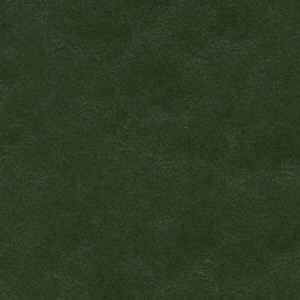 FORBO Marmoleum solid walton Bottle green 3359 - 2 bm