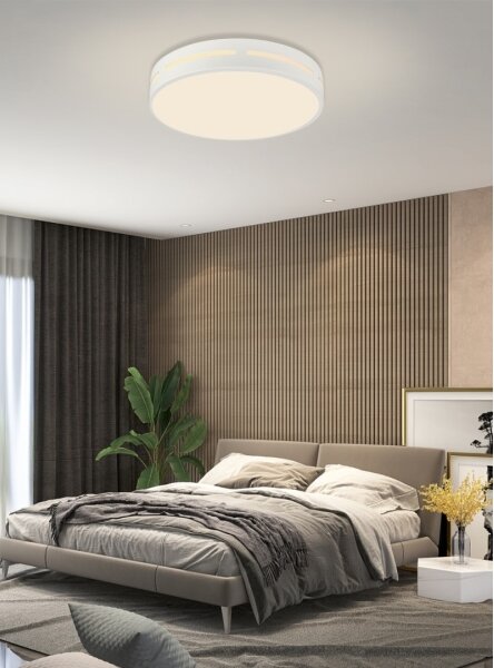 Immax NEO 07153-W40 - LED Stmívatelné svítidlo PERFECTO 24W/230V Wi-Fi Tuya + DO