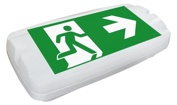 Fulgur 26200 - LED Nouzové svítidlo SAFEBOY LED/5,5W/230V 400 mAh IP65 6500K