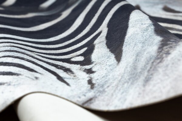 Makro Abra Koberec imitace zvířecí kůže Zebra G5128-1 černý bílý Rozměr: 100x150 cm