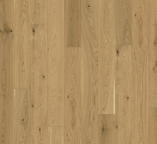 PARADOR Trendtime 4 Living Dub molvina přírodní 1748907 - 2.89 m2