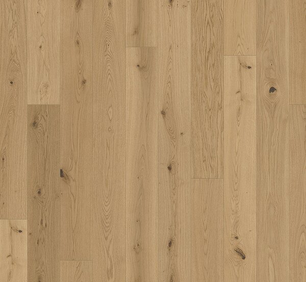 PARADOR Trendtime 4 Rustikal Dub lugana lehce bílený 1748905 - 2.89 m2