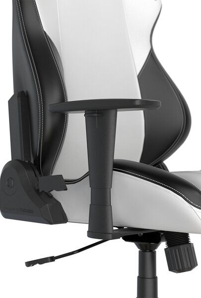 Herní židle DXRacer DRIFTING GC/LDC23LTA/WINTER