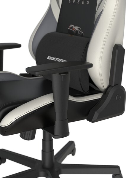 Herní židle DXRacer DRIFTING GC/LDC23LTA/SPEED.NW
