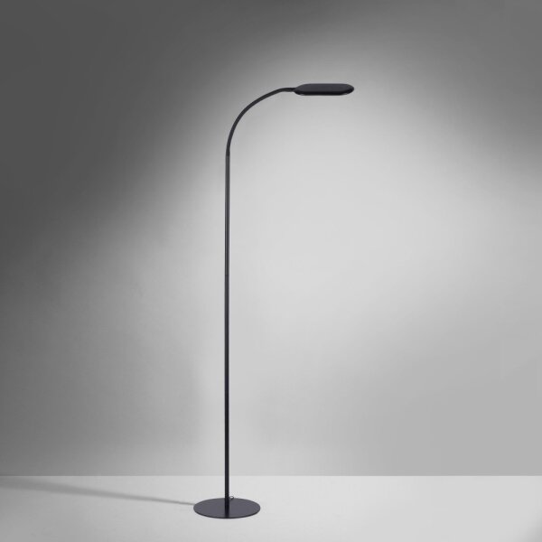 Leuchten Direkt 14406-18 - LED Stmívatelná stojací lampa KELLY LED/7W/230V