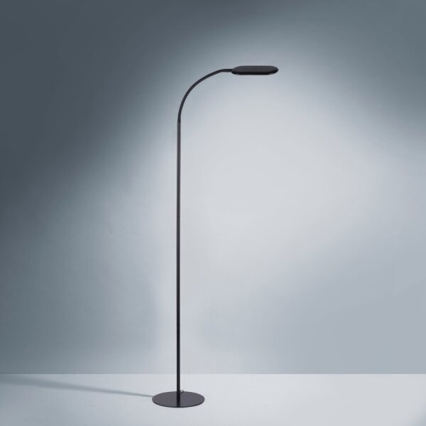 Leuchten Direkt 14406-18 - LED Stmívatelná stojací lampa KELLY LED/7W/230V