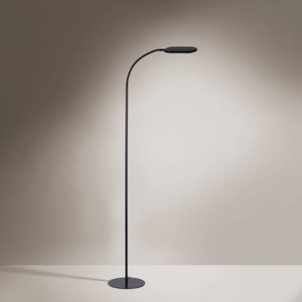 Leuchten Direkt 14406-18 - LED Stmívatelná stojací lampa KELLY LED/7W/230V